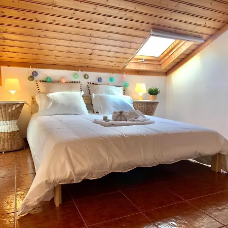 公寓 Praia Arrifana With Balcony And Sea View 阿尔热祖尔