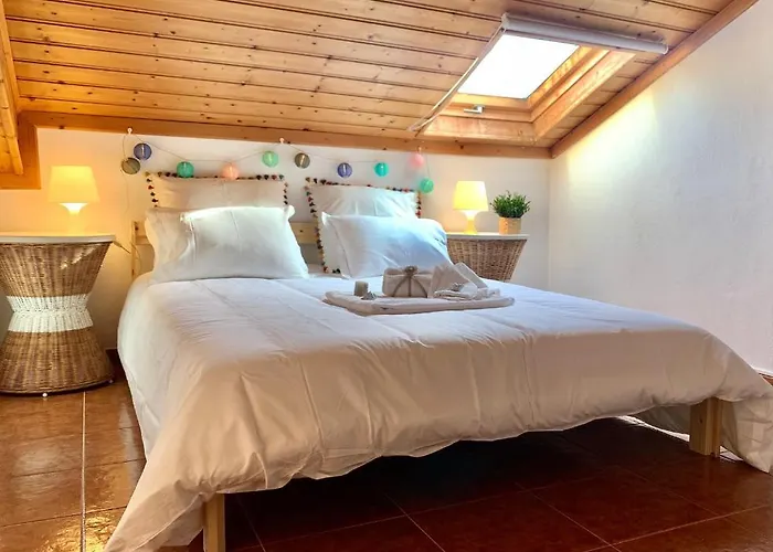 公寓 Praia Arrifana With Balcony And Sea View 阿尔热祖尔